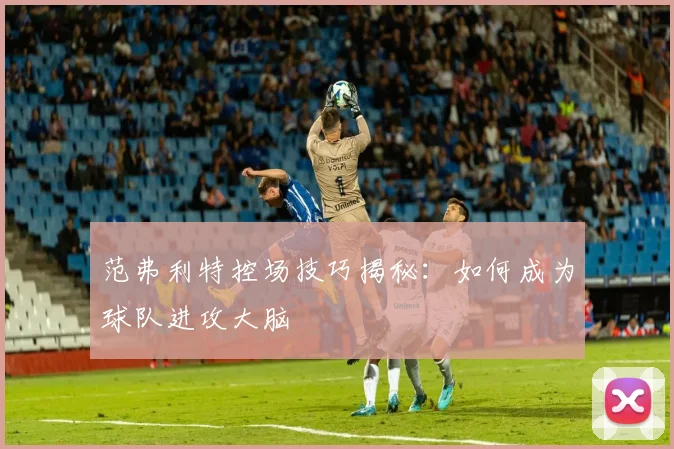 范弗利特控场技巧揭秘：如何成为球队进攻大脑